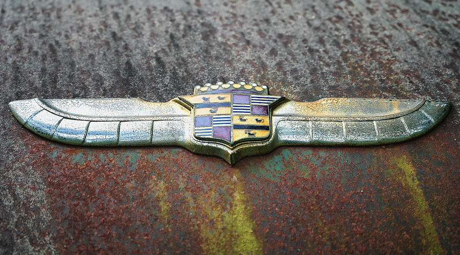 Vintage Winged Emblem on Rusty Surface Photograph - Tattered Chrome Wings by Steven Nelson