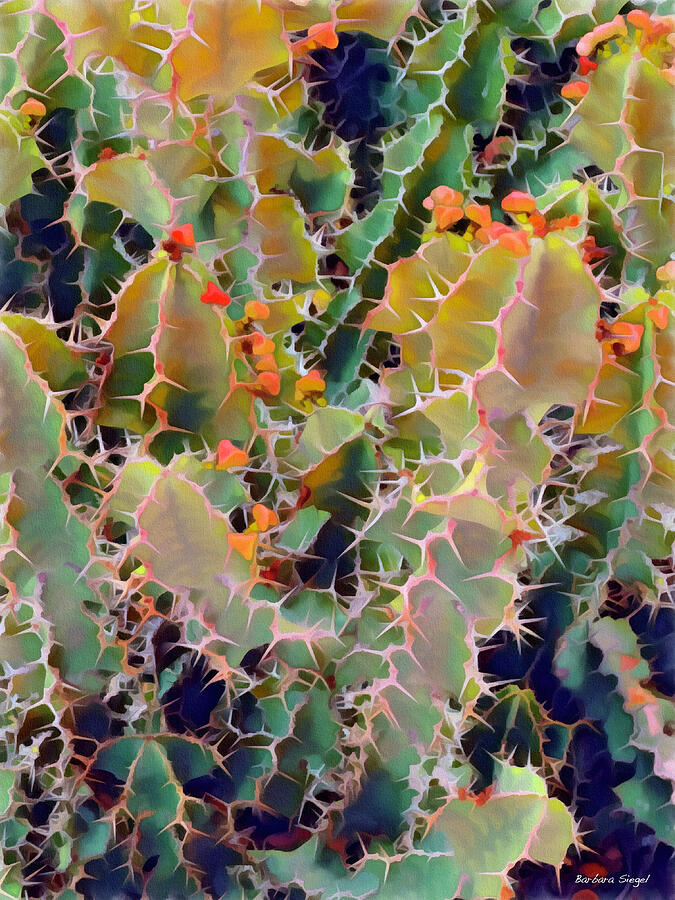 Textured Cactus Pattern Photograph - Textured Cactus Pattern by Barbara Siegel