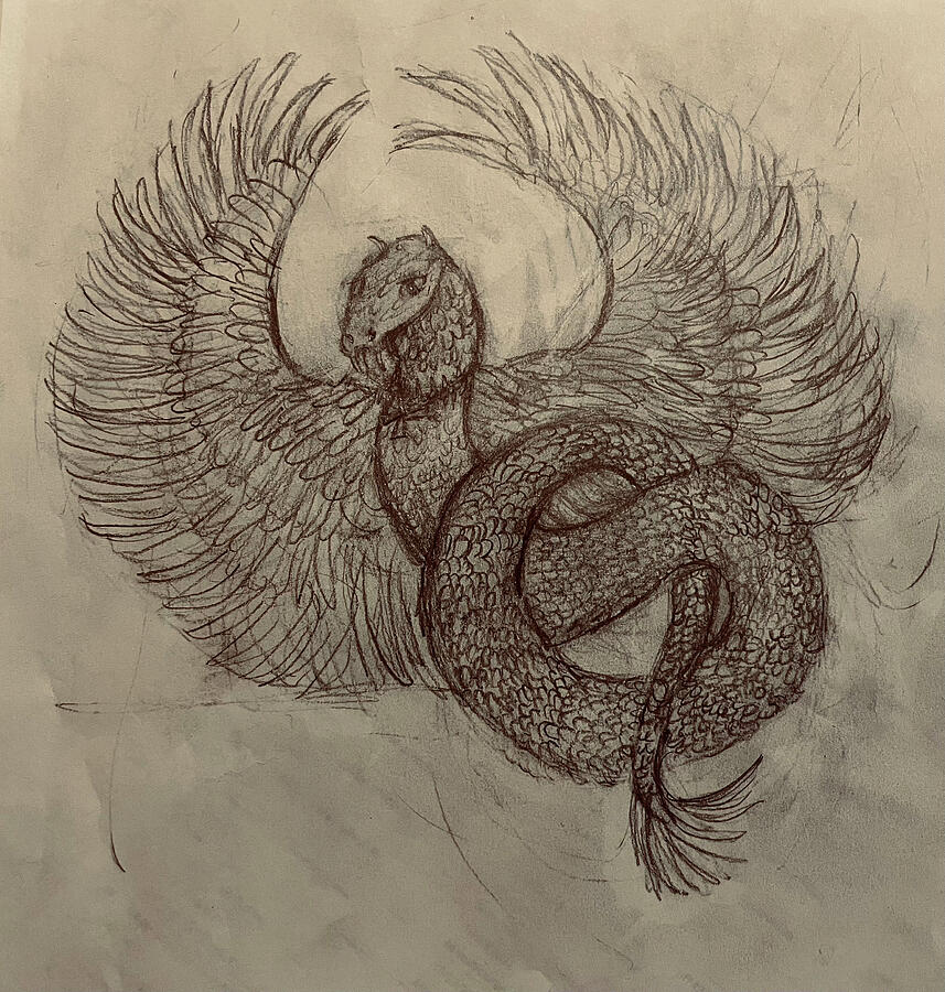 The All Knowing Creature Drawing by Susan Orosz
