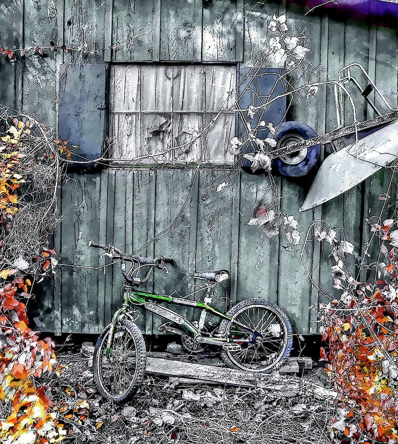 The Back Lot Photograph by Randall Dill