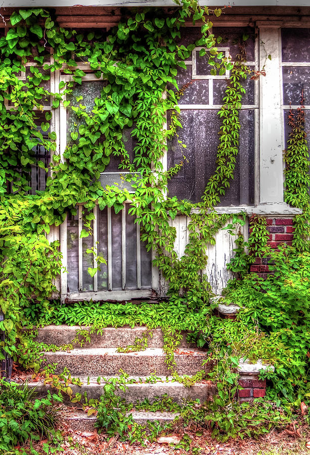 The Back Porch Photograph by Randall Dill
