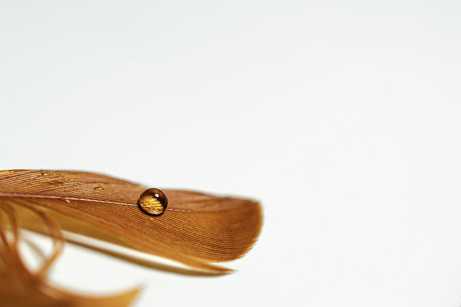 The Bead Photograph by Amanda Lorance