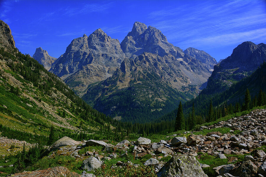 The Cathedral Group from North Fork of Cascade Canyon Photograph by Raymond Salani III