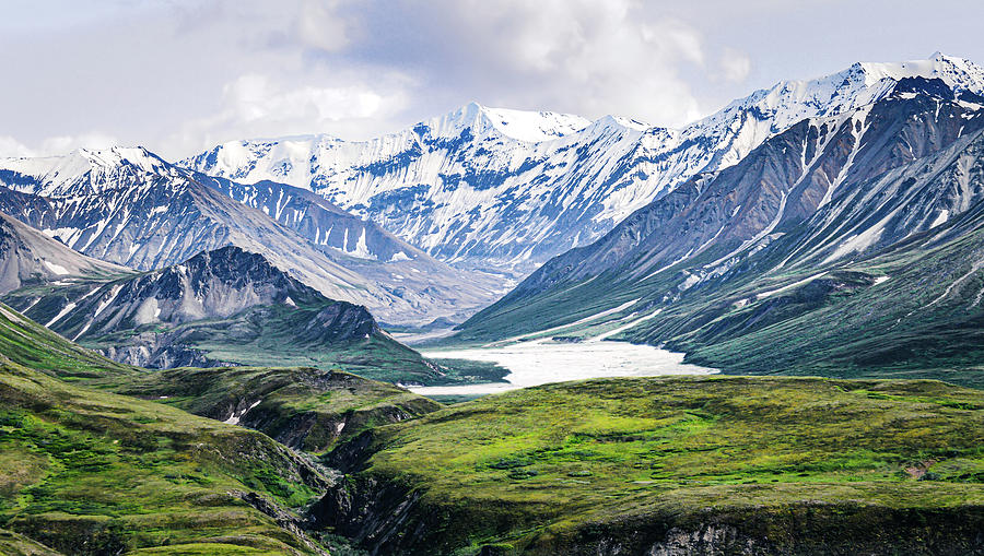 The Cold Light of Day, Alaska, Denali National Park Photograph by Shannon Williams
