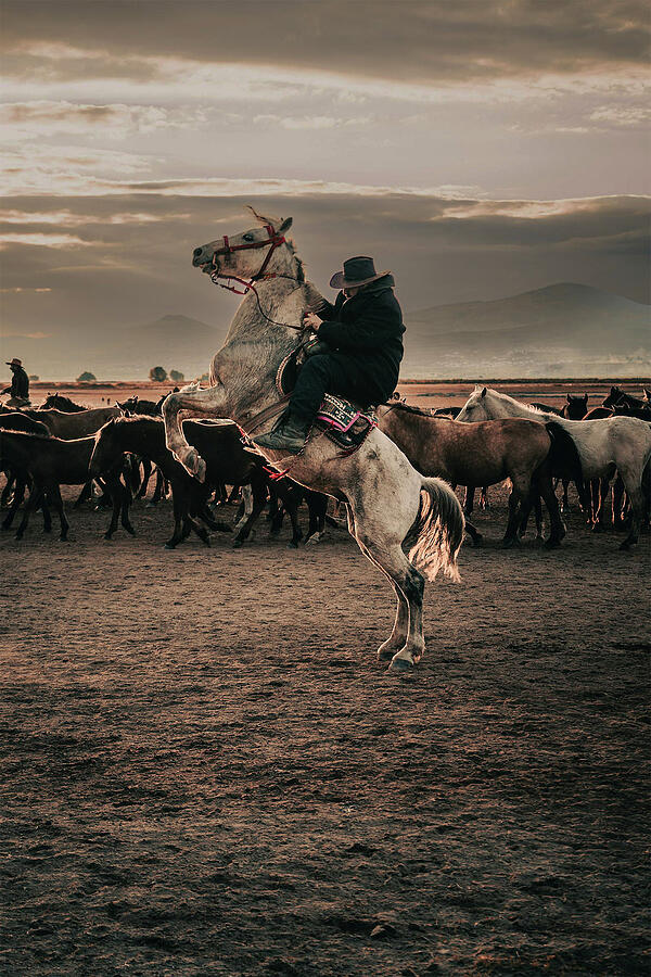 The Cowboy 2 Photograph by Printed View