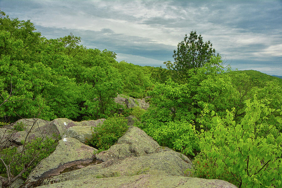 The East Pinnacles 3 Photograph by Raymond Salani III