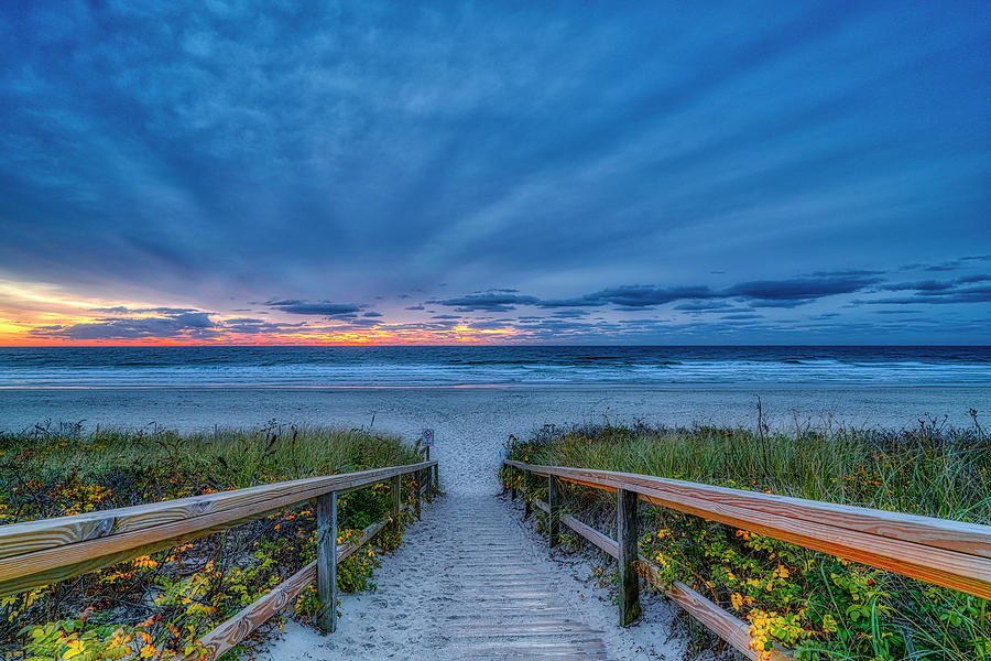 Morning Light Photograph by Penny Polakoff