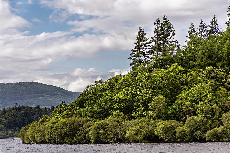 The forest by the lake Photograph by Francisco Ruiz Navas