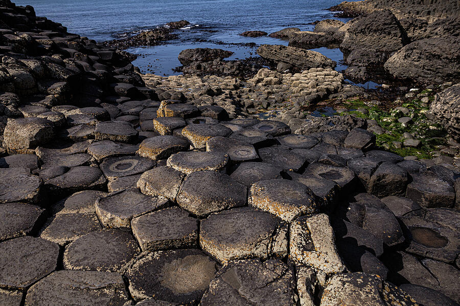 The Giants Causeway, Northern Ireland Photograph by Francisco Ruiz Navas