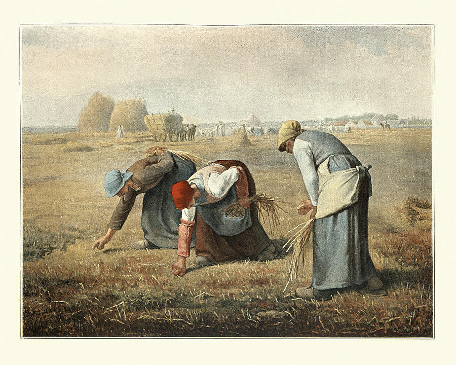 The Gleaners by Jean-Francois Millet, peasant women gleaning farmers field Drawing by Duncan1890