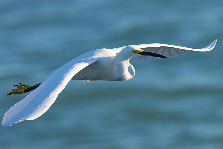 The Glideslope Photograph by RD Allen