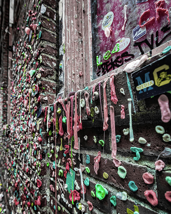 The Gum Wall, Seattle, Washington Photograph by Shannon Williams