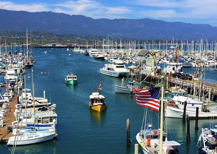The Harbor Photograph by Barbara Siegel