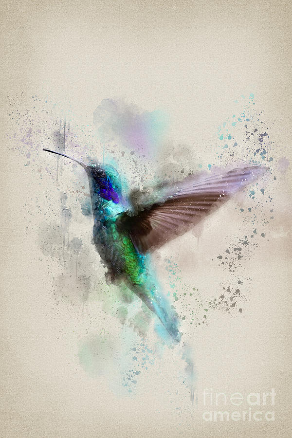 Hummingbird in Flight Digital Art - The Hummingbird by Ema Paraschiv