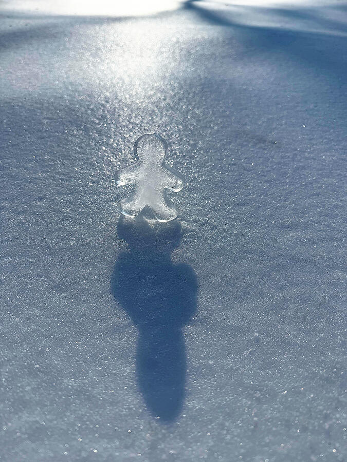 Ice Figure on Snowy Ground Photograph - The Iceman Cometh by Richard Reeve