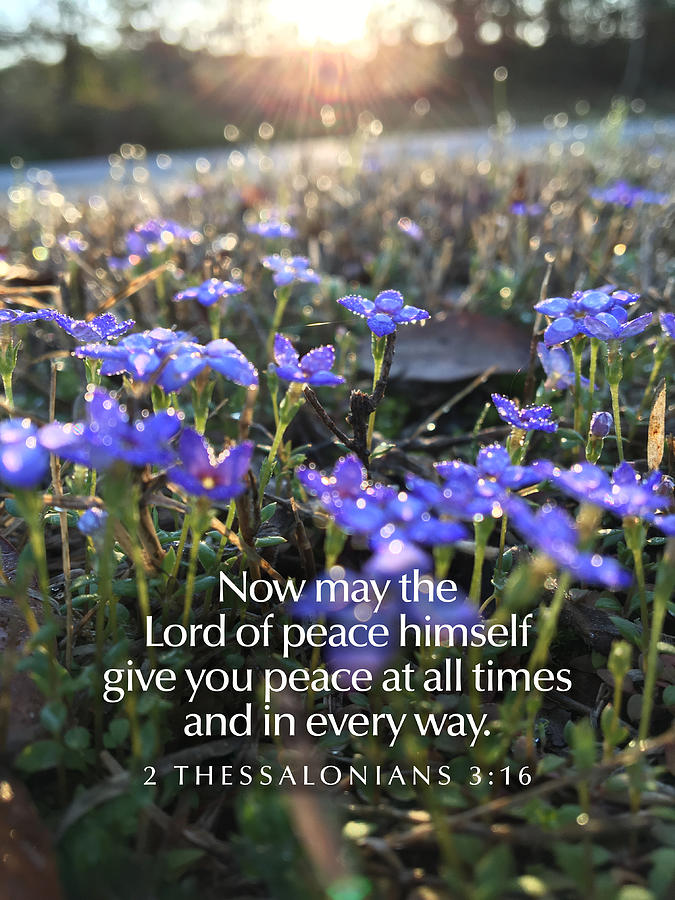 The Lord of Peace Photograph by Greg Lane