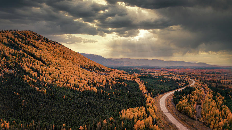 The Love of the Road Photograph by Shannon Williams