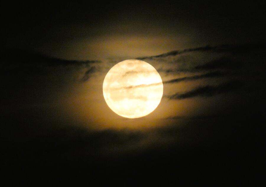 The Paschal Moon April 2026 Photograph by Samuel Foust - Metal Posters
