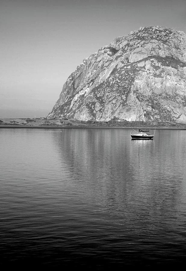 The Protector Photograph by Gina Cinardo