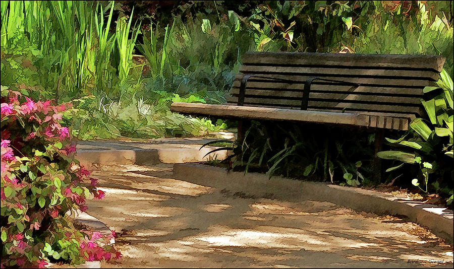 The Quiet Place Photograph by Barbara Siegel