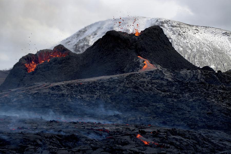 The rivals Photograph by Christopher Mathews