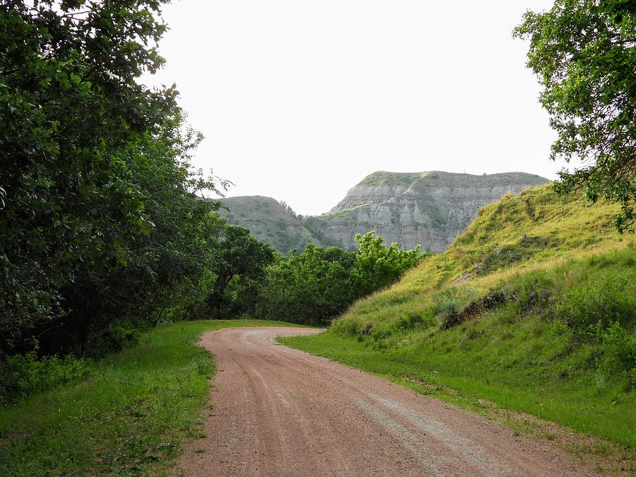 The Road Home Photograph by Amanda R Wright