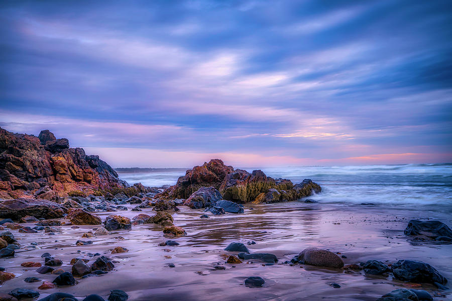 The Rocks of Marginal Way Photograph by Penny Polakoff