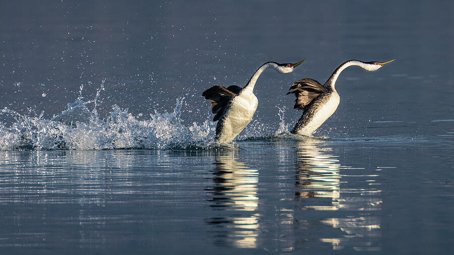 The Rush is On Photograph by Mike Lee