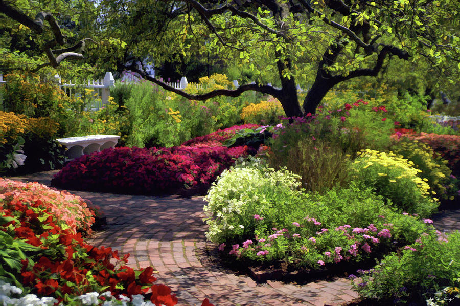 The Secret Garden Photograph by Barbara Siegel