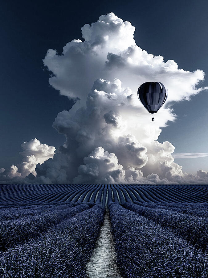 The Silent Ascent Photograph by Sofie Conte