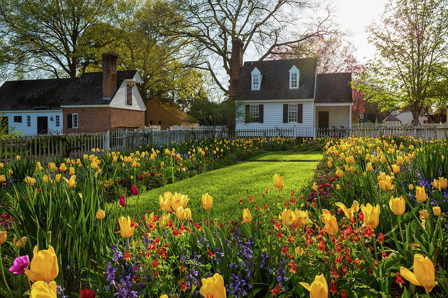 The Taliaferro-Cole House Spring Garden Photograph by Rachel Morrison