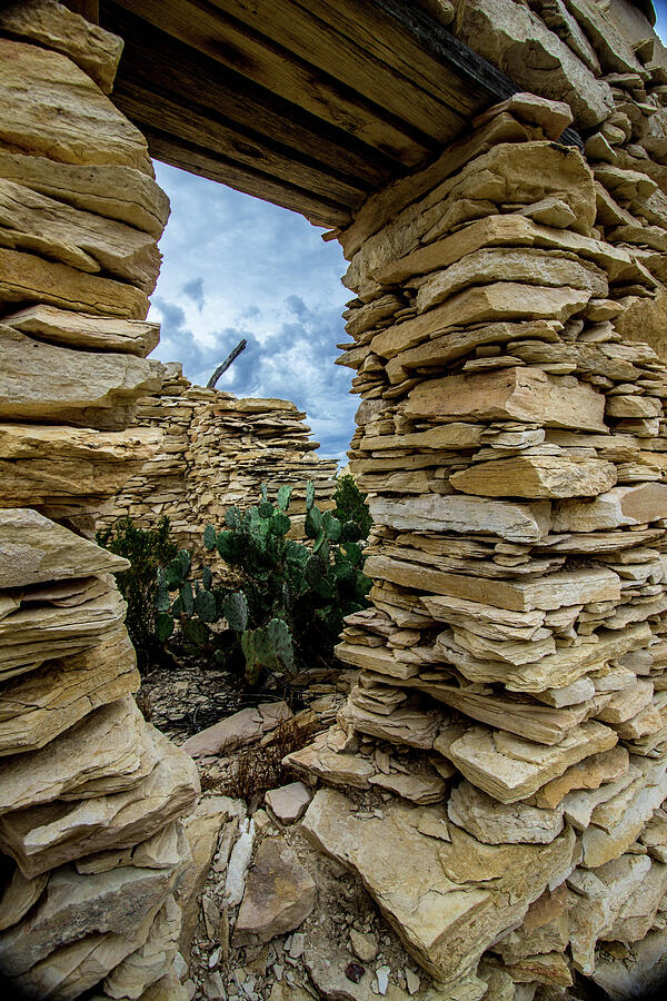 The Uninvited Guest Photograph by KC Hulsman