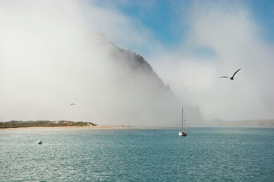 The Unveiling Photograph by Gina Cinardo