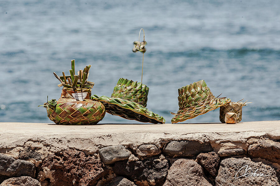 The Weavers Creations Photograph by Charlie Osborn