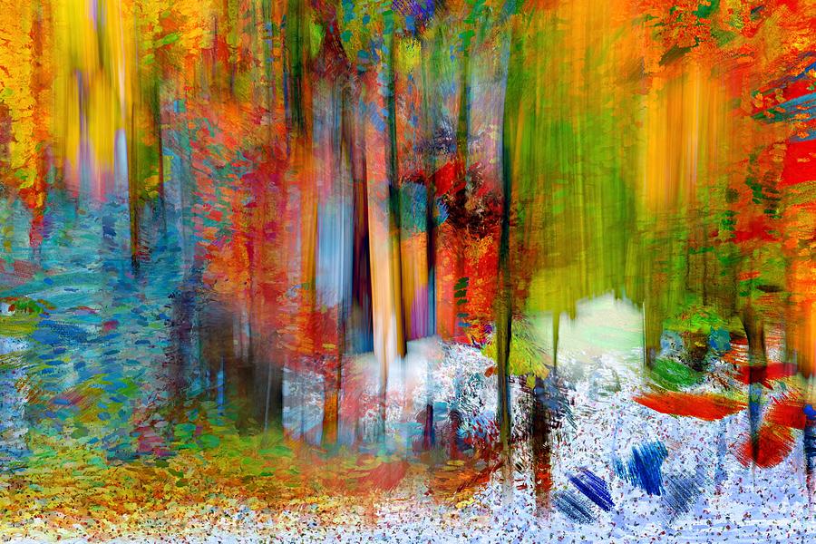 The Woods in Summer Photograph by Ursula Abresch