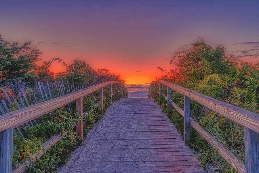 The World Awaits Photograph by Penny Polakoff