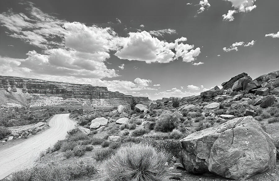 Through the Valley of the Gods BW Photograph by Joe Schofield
