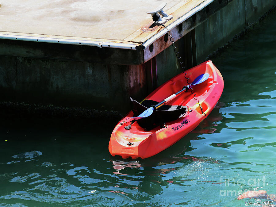 Tied Up in Tauranga Photograph by Rick Locke - Out of the Corner of My Eye