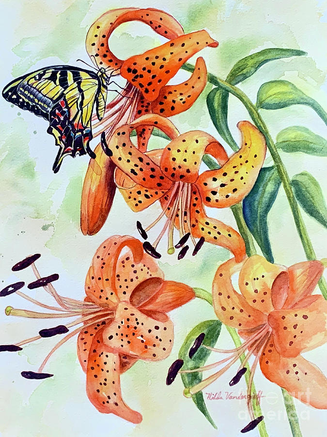 Tiger Lilies And Butterfly by Hilda Vandergriff - Royalty Free and Rights  Managed Licenses