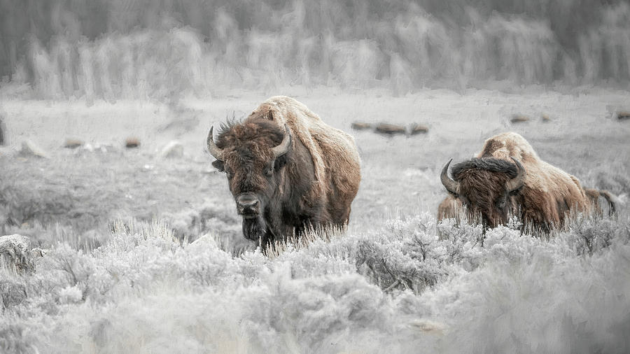 Tighter shades Digital Art by Chris Allmendinger