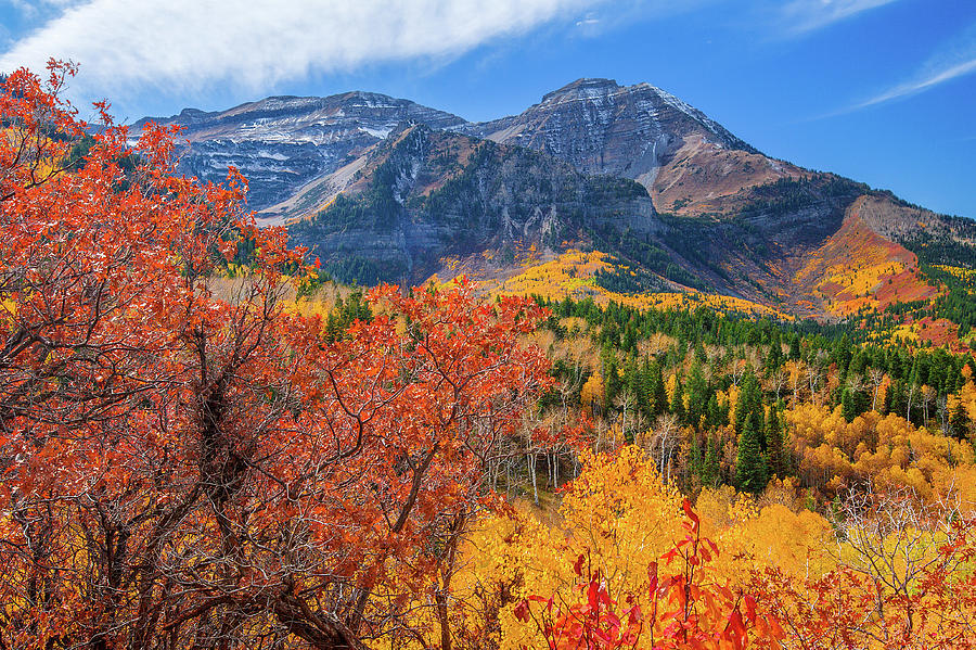 Timpanogos Colors Photograph by Abbie Warnock