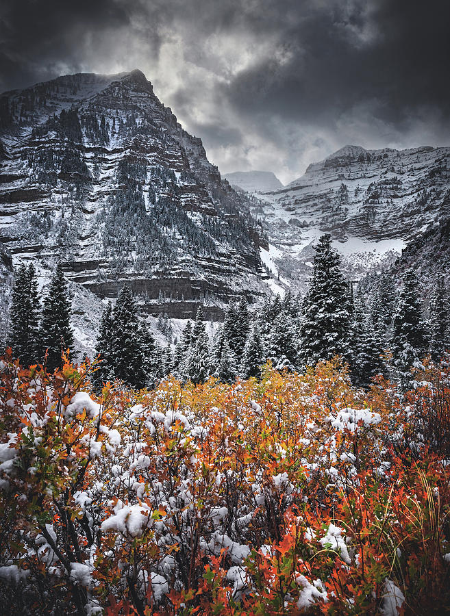 Timpanogos Fire and Ice, Utah - Vertical Photograph by Abbie Warnock