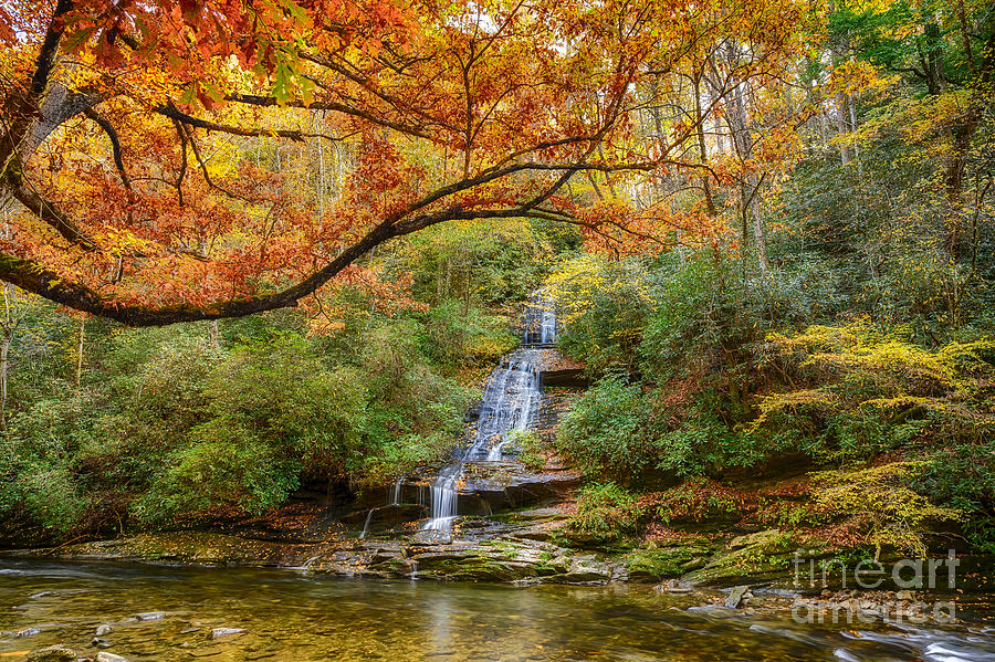 Tom Branch Falls in the Smoky Mountains National Park Photograph by Jimmy Pappas