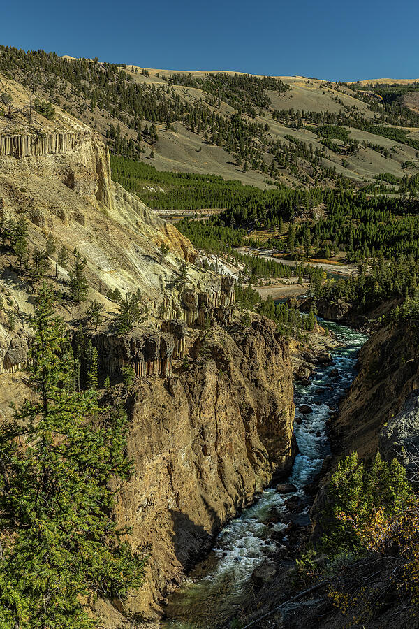 Tower Power Photograph by Tim Lyden