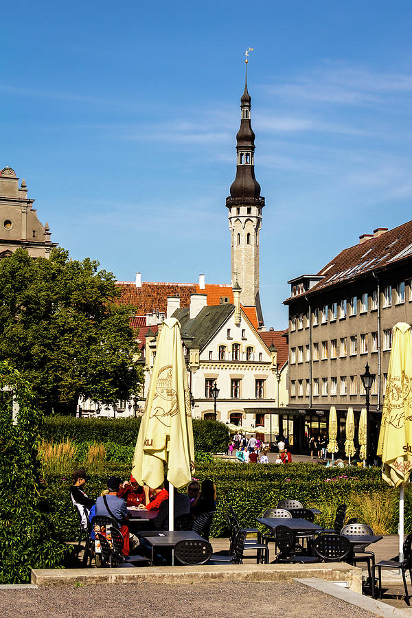 Dining with Friends Photograph by Craig A Walker