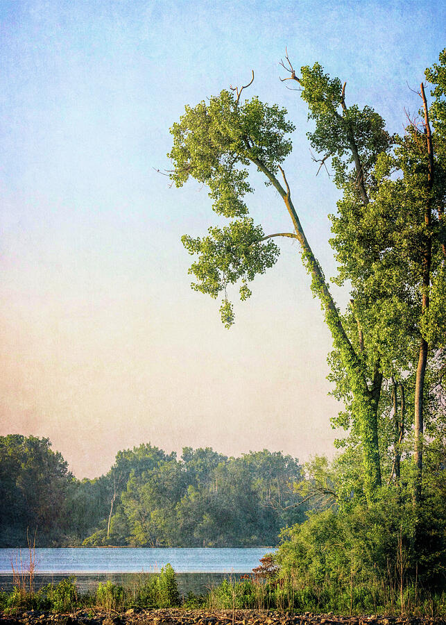 Tranquil Indian Lake at Dawn Photograph by Dan Sproul