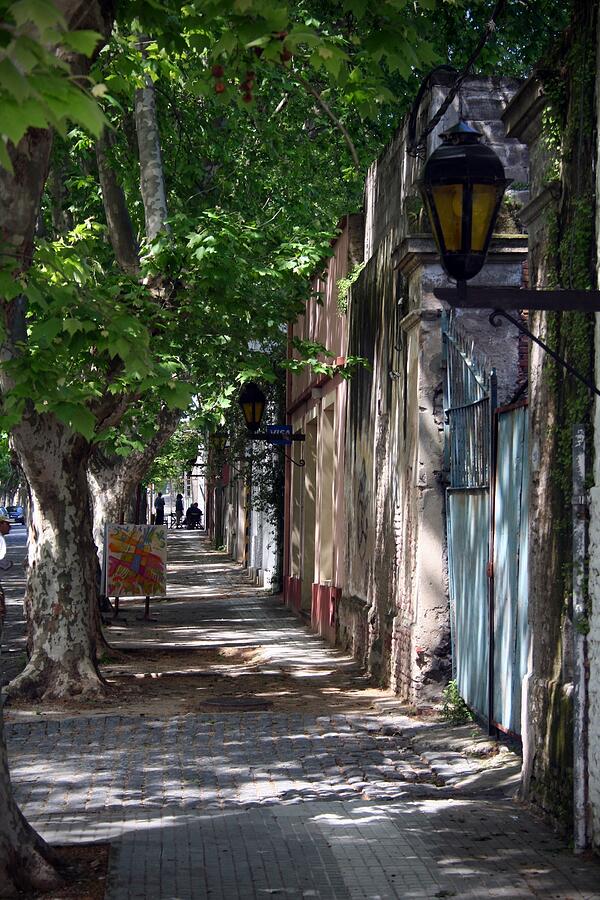 Tranquil Urban Path in Colonia del Sacramento Photograph by Travel Essayist