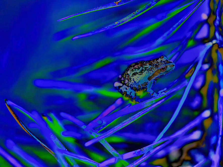 Tree Frog Digital Art by Bruce Block