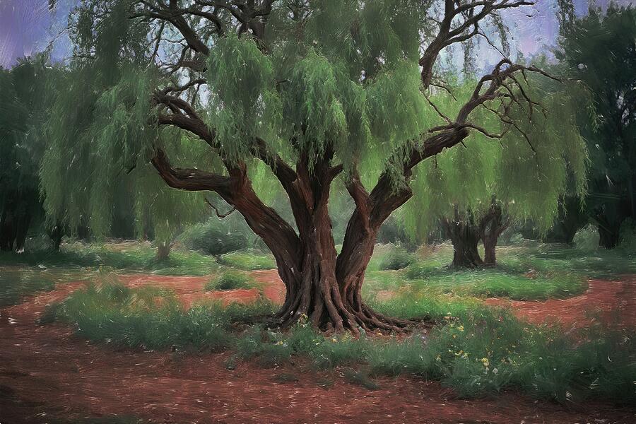 Tree painting of mystical willow tree Digital Art by Nature Oil Painting