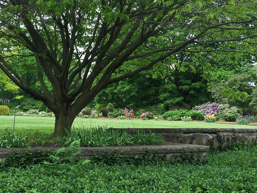 Serene Garden Landscape with Tree Photograph - Tree Shade and Flowers by Deb Beausoleil